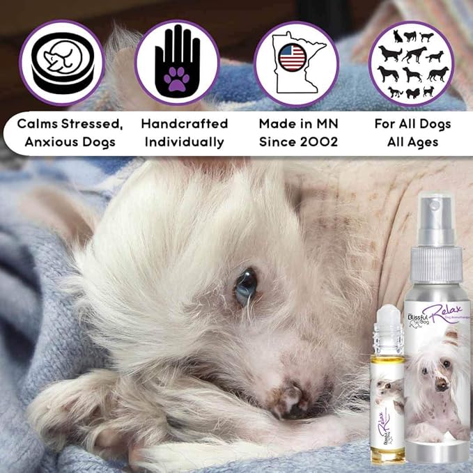 The Blissful Dog Chinese Crested Relax Roll-ON Aromatherapy for Dogs - Anxiety Relief for Dogs
