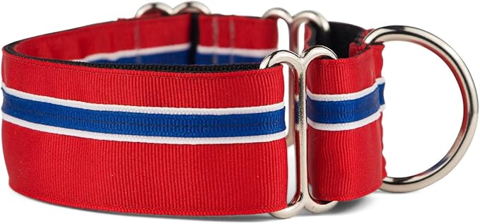 If It Barks - 1.5" Martingale Collar for Dogs - Adjustable - Nylon - Strong and Comfy - Ideal for Training - Made in USA - Small, Patriotic