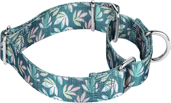 Mikivery Martingale Collar for Dogs 1 inch Sturdy Durable Collars Medium and Large Breed for Walking Training Outdoor Daily Use