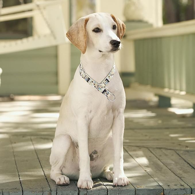 Training Dog Collar - No Pull Martingale, Slip With Slidable Stop Ring for Small, Medium, Large Dogs (NO8, M)