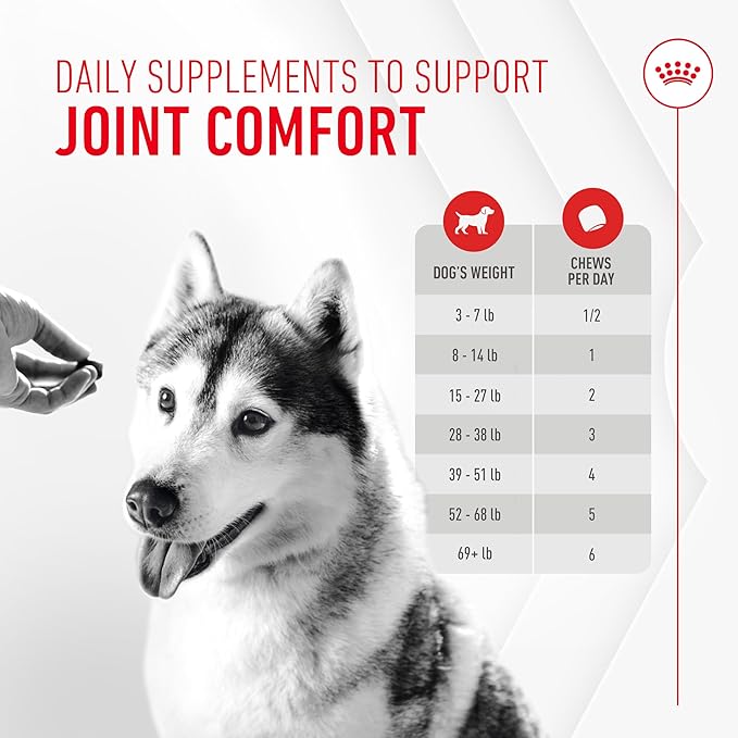 Royal Canin Joint Dog Supplement Soft Chews for Adult Dogs, 60 Count (Pack of 4)