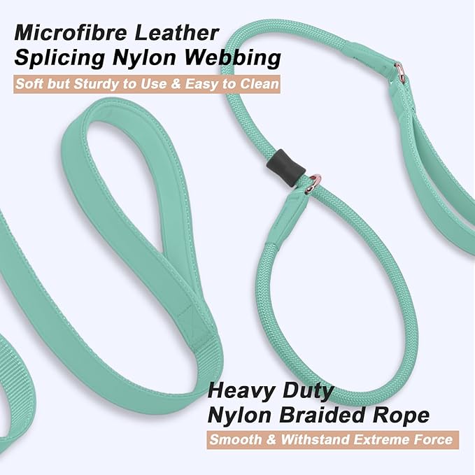 Slip Lead Dog Leash, Dog Training Leash with Double Handle, Soft Leather Slip Leash and Collar, Heavy Duty Nylon Dog Lead, No Pull Walking for Medium Large Small Dogs 6ft Mint Green