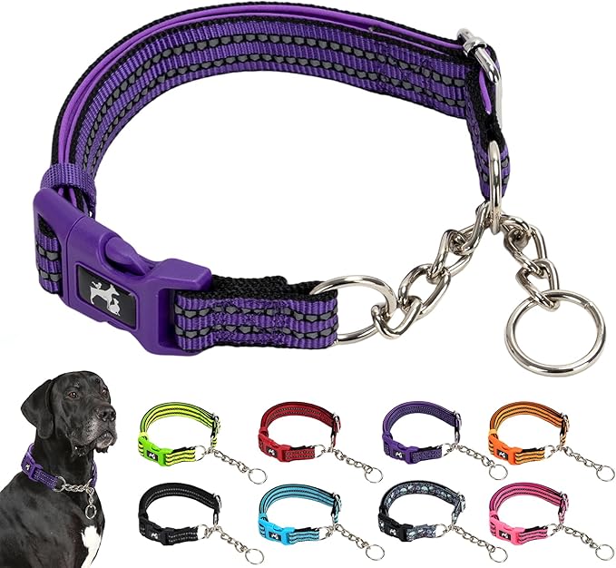 MAOWUWUJOA Martingale Collar for Dogs Reflective Nylon Dog Collar with Quick Release Buckle Adjustable Training No Slip Dog Collars (Medium, Purple)