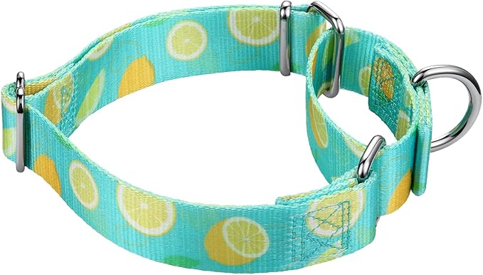 Mikivery Martingale Collar 1 inch Slip On and Off,NO Buckle Gently Tightens Medium and Large Collars