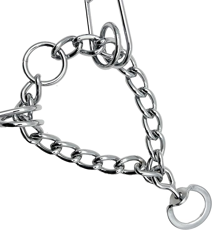 Adjustable Dog Ｎo Pull Ｃollar for Small Medium Large Dogs (Silver, L)