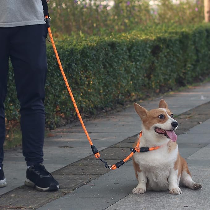 LOS ANDES Dog Slip Collar with Slidable Stopper, No Pull Choker Training Martingale Collar for Small Medium Large Dogs, Nylon, Orange-Reflective, M (19 in x 10 mm)