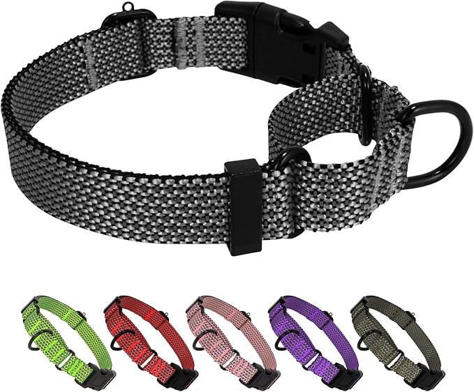 Martingale Dog Collars Adjustable Training Martingale Collar for Dogs - Reflective No Pull Dog Collar with Quick Release Buckle(Green, Large)