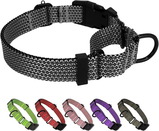 Martingale Dog Collars Adjustable Training Martingale Collar for Dogs - Reflective No Pull Dog Collar with Quick Release Buckle(Green, Large)