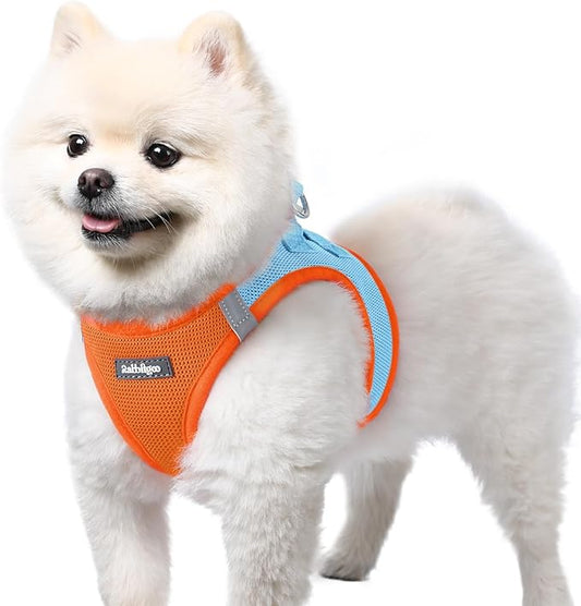 rabbitgoo Small Dog Harness, Step-in Soft Mesh Puppy Vest with Safety Buckle, Breathable Reflective Pet Harness for Small Sized Dogs, Blue & Orange S