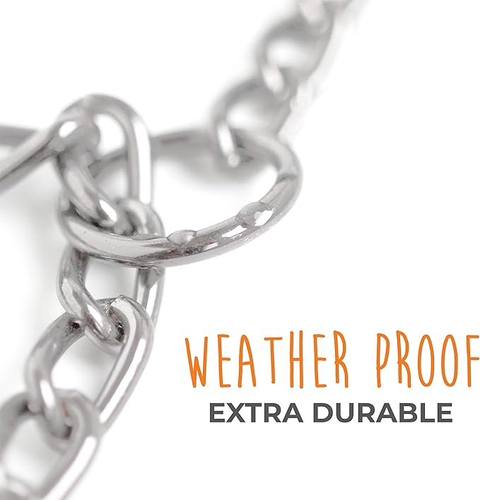 Mighty Paw Slip Collar - Stainless Steel - Weather Resistant - Tarnish Proof - Durable Chain Dog Choke Collars - No Pull Dogs Training - Strong and Premium - Metal Chain (16")