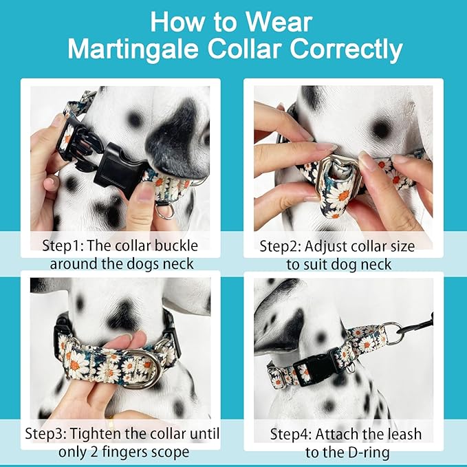 Martingale Collar for Dogs Flower Dog Collar with Quick Release Buckle Adjustable Nylon Soft Dog Collars for XSmall Dogs, Daisy