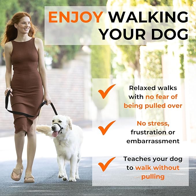 Canny Collar No-Pull Dog Head Collar | Train Your Dog to Stop Pulling & Walk On a Loose Leash | Gentle, Safe, Comfortable Training Aid | Medium/Large Dogs | Purple, Size 5