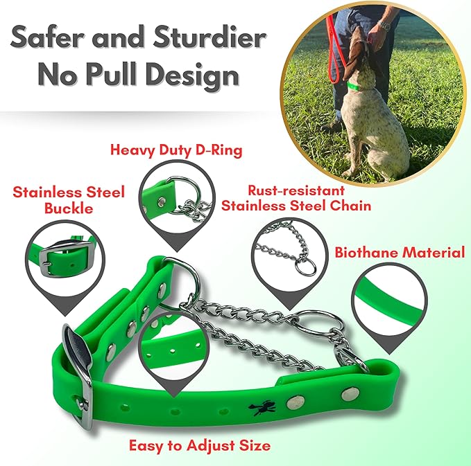 Martingale Collar for Dogs, Biothane, Stainless Steel Hardware, No Pull, Made in The USA, Professional Grade, Medium, Green