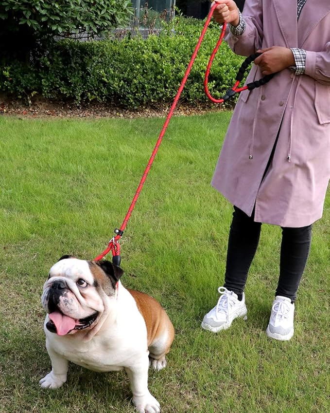 TagME Slip Leads for Dogs that Pull, 6 FT No-Pull Training Leash with Lock, Escape-Proof Design, Reflective & Padded Handle for Large Dogs, Red