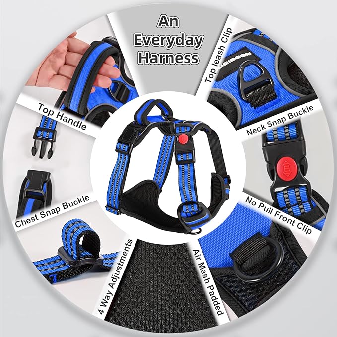 No Pull Dog Harness with A Free Heavy Duty 5ft Dog Leash, Adjustable Soft Padded Dog Vest, Reflective No-Choke Pet Oxford Vest with Easy Control Handle for Small and Large Dogs (Blue, Small)