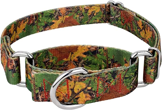 Country Brook Petz - Southern Forest Camo Martingale Dog Collar - Camouflage Collection Featuring Rugged Designs (1 Inch, Large)