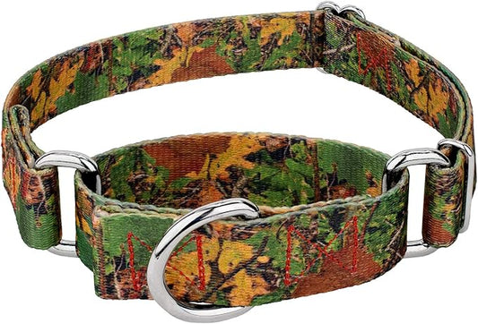 Country Brook Petz - Southern Forest Camo Martingale Dog Collar - Camouflage Collection Featuring Rugged Designs (1/2 Inch, 2XS)