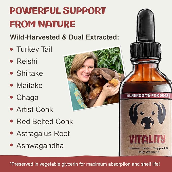 MycoDog Vitality - 20-in-1 Turkey Tail Mushroom for Dogs - Mushroom & Adaptogen Supplement for Senior Dogs - Supporting Immune Health & Daily Wellness - with Reishi, Chaga