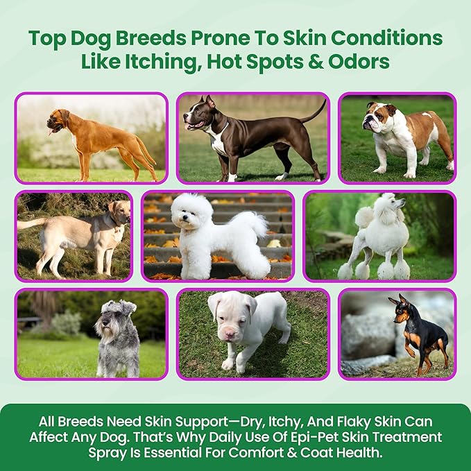 Epi-Pet Veterinary Formulated Dog Hot Spot and Dog Itch Spray, Pet Skin Treatment Spray for Allergies, Deshedding and Redness, Use it as Skin and Coat Conditioner 4 Fl Oz (Pack of 3), Lavender
