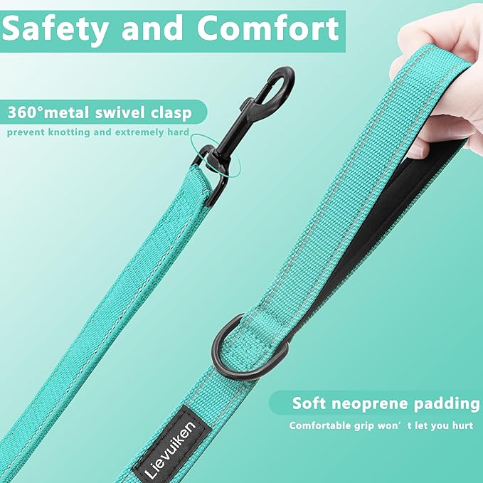 Dog Leash, 4ft Long, Double Handle, Reflective, Turquoise, for Small, Medium, Large Dogs