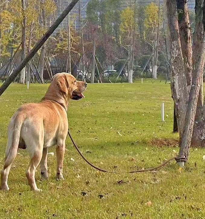 13FT Tie Out Rope Dog Lead, 8-10-15-20-25-30-35-40-50-65 FT, Long Dog Tether Nylon Check Cord for Medium Large Dogs Playing Camping Backyard of Leash Training Tie Down (Black, 3/8")