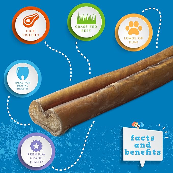Jack&Pup 12 Inch Bully Sticks for Dogs (3 Pack) Extra Thick Dog Chews Long Lasting, Odor Free, Single Ingredient, 100% Beef Bully Sticks for Large Dogs
