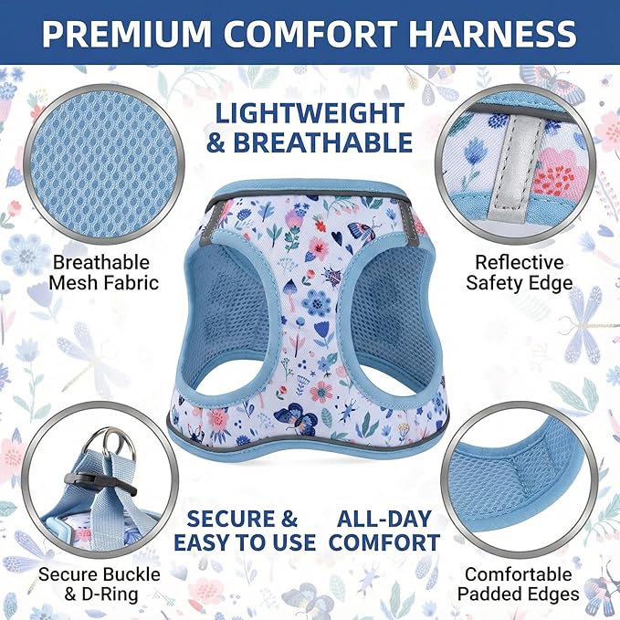 Step in Dog Harness and Leash Set, Reflective Adjustable No Pull Dog Harness for Small Medium Dogs Puppy and Cats, Soft Padded Mesh Vest Harnesses for Girl and Boy Pets(Cute Insect,L)