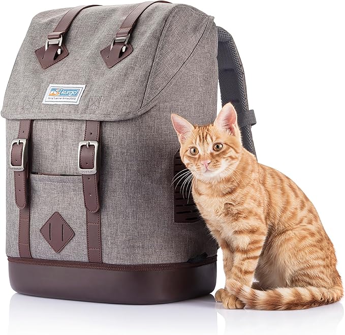 Kurgo Dog Carrier Backpack for Small Pets - Hands-Free Pet Travel Backpack - Armorsole Base - Convertible Backpack to Carrier - Rugged Pet Backpack - Heather Grey