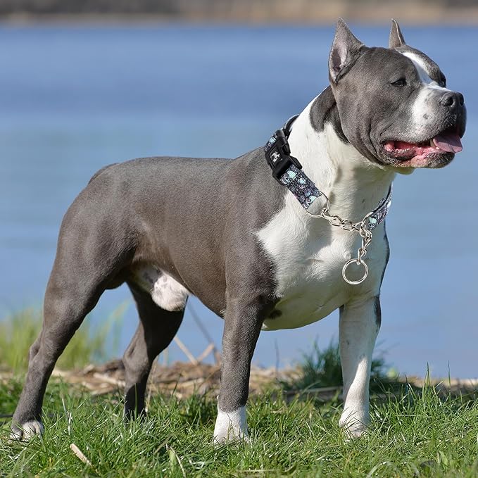 Martingale Collar - Reflective Nylon with Padded Comfort & Quick Release Buckle - Skull Design, No Slip Choke Heavy Duty Collar for Safe Training, Walking & Nighttime Use L