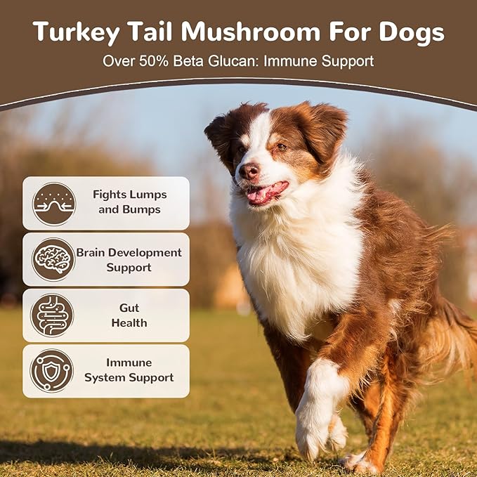 Turkey Tail Mushroom Powder for Dogs, Organic 10 Mushroom Blend for Lipoma Lumps and Bumps, Dog & Cat Herbal Supplements Probiotic with 50% β-Glucan, Joint Gut Immune Skin Support - 60g
