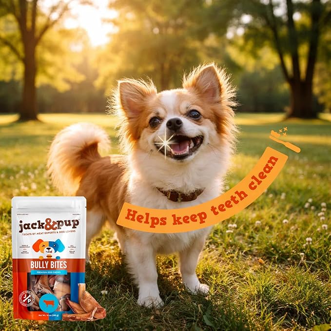 Jack&Pup Bully Bites for Dogs (1 lb. Bag), Small Bully Sticks for Small Dogs, 1-3 Inch Dog Chews for Puppies, Seniors and Smaller Dogs