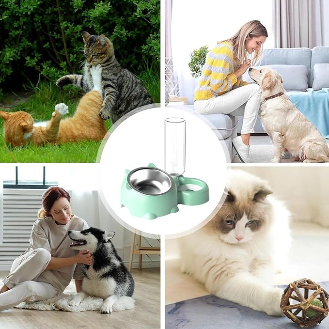 Dog Bowls, Cat Food and Water Bowl Set 16 Degree Tilted Dog Dish with Water Dispenser Automatic Dispenser Bottle Spill Proof Pet Feeder for Cats and Dogs