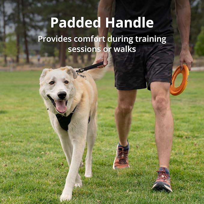 Ruffwear, Front Range Short Dog Leash, 15", Heavy Duty Traffic Leash with Padded Handle & Lockable Crux Clip, Reflective Lightweight Durable Lead for Training & Walking Control, Spring Fade