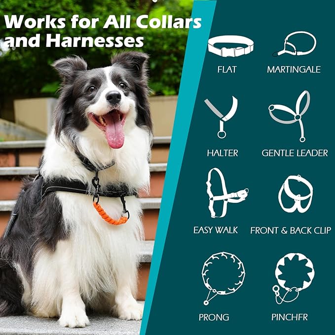PetBonus Dog Collar Safety Clip, Handmade Backup Safety Strap for Dog Harness, Prong, Pinch Collar, Double Ended Clasp Leash Connector (Orange)