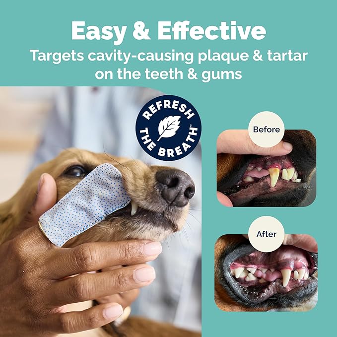 Vetnique Dentabliss - Dog Teeth Cleaning Finger Mitt Dental Wipe - Dog Plaque & Tartar Prevention with Brushing Beads - Flavored Dog Teeth Wipes, Dog Breath Freshener (Peppermint)