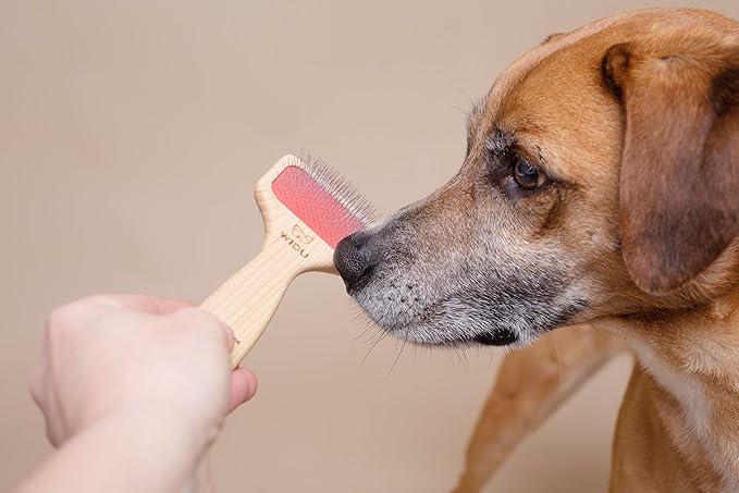 WIDU - Brush for Dogs and Cats, Ideal for Small Pets with Short Hair, Professional Carder in Ash Wood, Handmade in Italy - 16 x 7 cm, with 15 mm Long Teeth and 70° Inclination