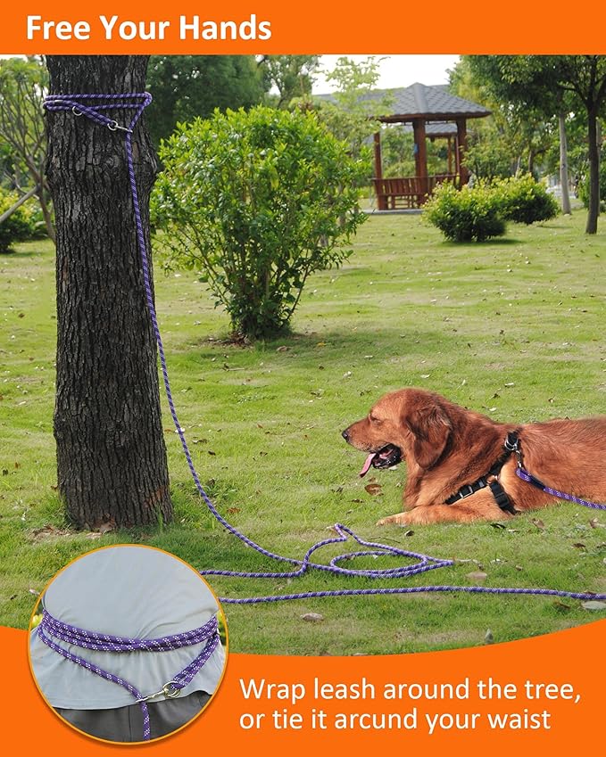 Heavy Duty Dog Leash for Large, Medium, Small Dogs - 10FT/16FT/30FT/50FT/100FT, Reflective Threads, Ideal for Walking, Playing, Camping, or Yard