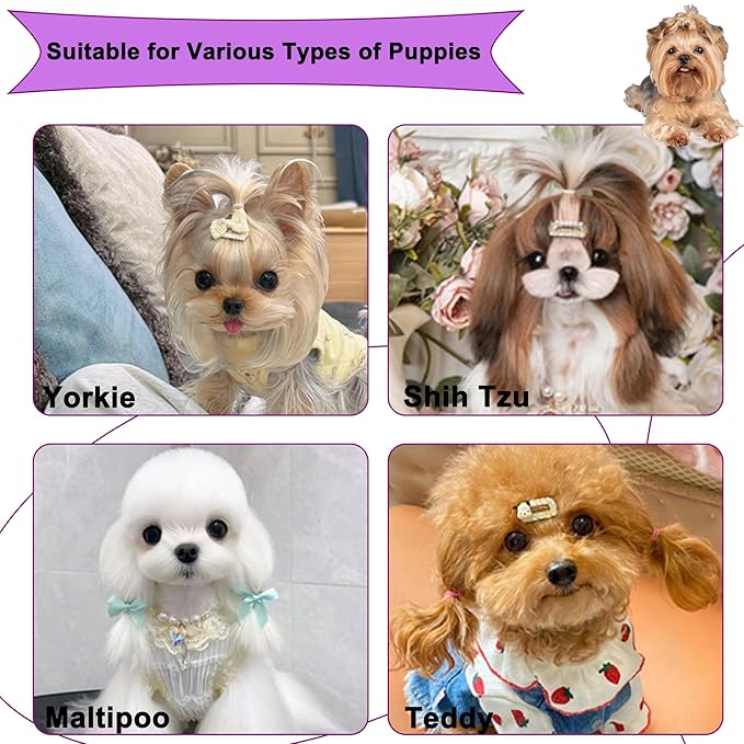 Gentle Grooming Puppy Brush with Gift Box ， Fit for Small Dog ， Yorkie, Shih Tzu, Maltipoo, Maltese and Pomeranian ，Toy Poodle Accessories, Soft Bristle (Electroplating Purple)