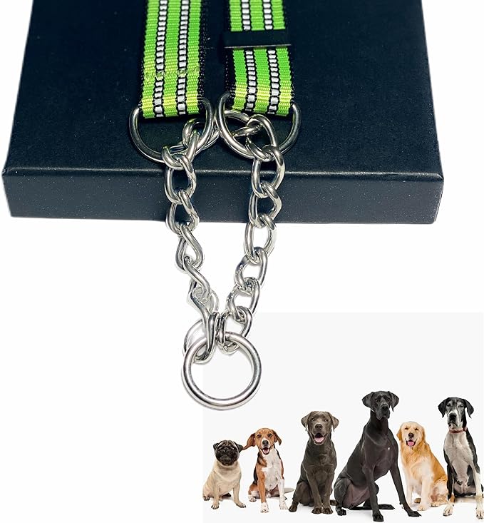 Martingale Collars for Dogs, Heavy Duty Stainless Steel Chain Training Collar, Reflective Nylon Adjustable Collar with Quick Release Buckle, Suitable for Puppy Medium Large Dogs (Green, XS)
