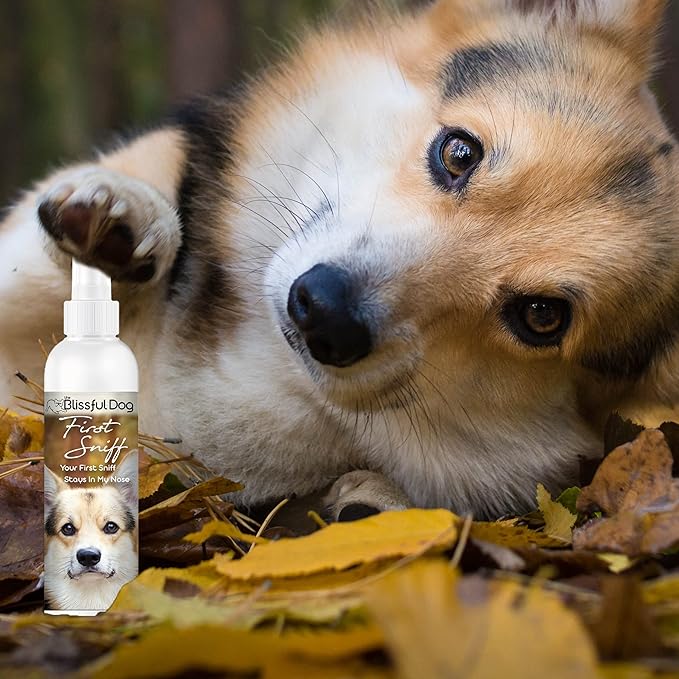 The Blissful Dog First Sniff Dog Cologne, 4 oz.