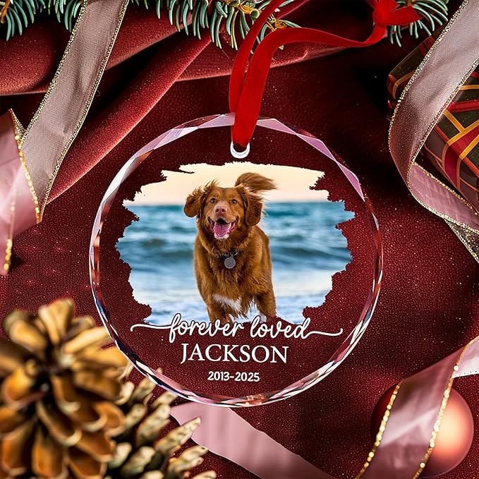 Personalized Pet Memorial Crystal Ornament - Pet Loss Gifts, Dog Memorial, Custom Pet's Photo, Dogs Sympathy Gift, Pets Condolence Gift, Pet in Memory Keepsakes, Remembrance Gifts for Cat Dog Lover