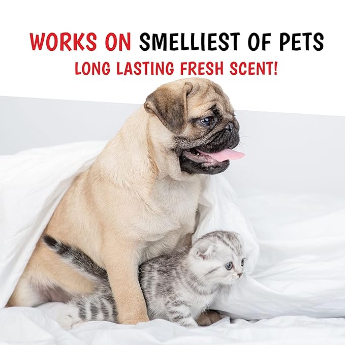 Warren London Wet Kiss Dog Cologne Spray – Tuscan Citrus | 2 oz Long-Lasting Odor Eliminator & Coat Freshener for Dogs & Cats