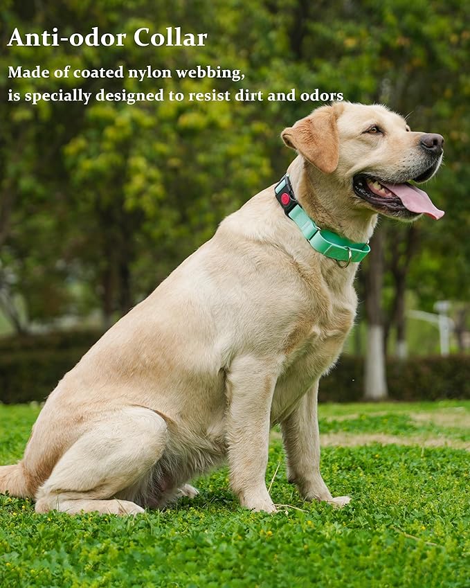 Waterproof Martingale Collar for Dogs,Easy to Clean Dog Collars with Safety Quick Release Buckle,Rubber Collar for Medium Large Dogs Walking Training (Mint Green, S (13.4-16.5inch))