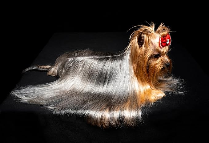 Premium Pet Pin Brush “Butter” – Comfortable Pin Brush for Dogs & Cats, Long & Short Hair, Stainless Steel Pins, Anti-Tangle Grooming Tool