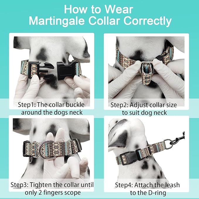 Martingale Dog Collar with Buckle Tribal Design Adjustable Escape Proof Pet Collars (Aztec, Large)