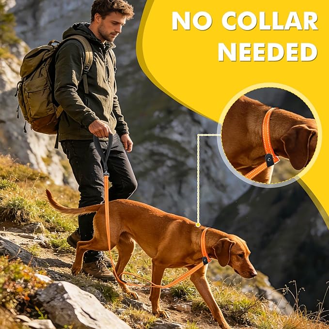 XiaZ 6FT Dog Leash with Comfortable Flat Collar and Soft Padded Handle,Nylon Reflective Double Handle No Pull Leash for Small Medium Large Dogs, Training Walking Running (Orange)