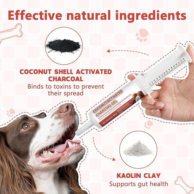 Activated Charcoal Paste for Dogs and Cats (60ml) - Digestive Supplement, Daily Oral Care Paste for Pets