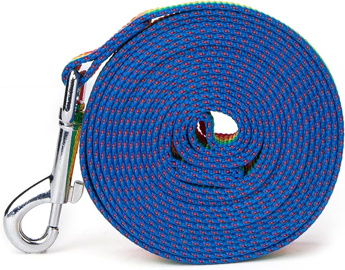 Strong Durable 6 ft Nylon Dog Training Leash, 1 Inch Wide Traction Rope, for Small and Medium Dog (Rainbow, 6 Feet)