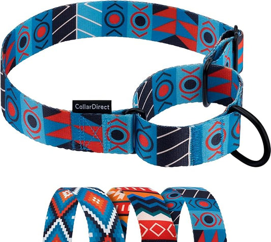 CollarDirect Aztec Martingale Collars for Dogs Heavy Duty Tribal Pattern Safety Nylon Training Collar Large Medium Small (Blue Ethnic, L, Neck Size 15"-20")
