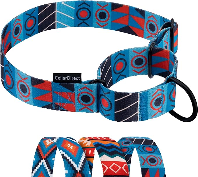 CollarDirect Aztec Martingale Collars for Dogs Heavy Duty Tribal Pattern Safety Nylon Training Collar Large Medium Small (Blue Ethnic, XL, Neck Size 19"-24")
